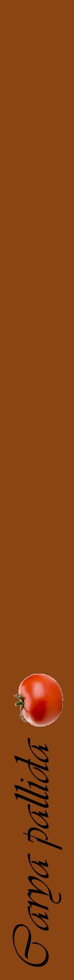 Étiquette de : Carya pallida - format a - style noire30viv avec comestibilité simplifiée