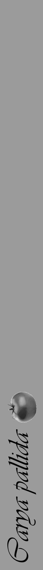 Étiquette de : Carya pallida - format a - style noire52viv avec comestibilité simplifiée - position verticale