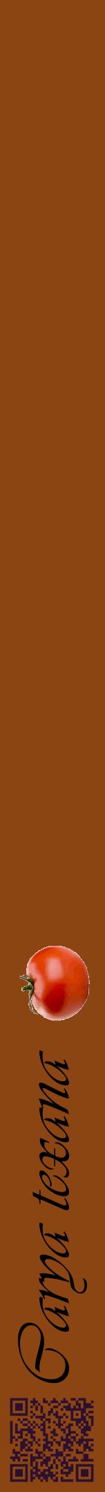 Étiquette de : Carya texana - format a - style noire30viv avec qrcode et comestibilité simplifiée
