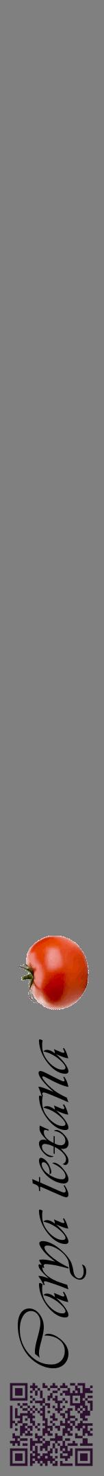 Étiquette de : Carya texana - format a - style noire57viv avec qrcode et comestibilité simplifiée