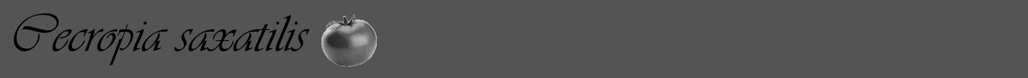 Étiquette de : Cecropia saxatilis - format a - style noire36viv avec comestibilité simplifiée