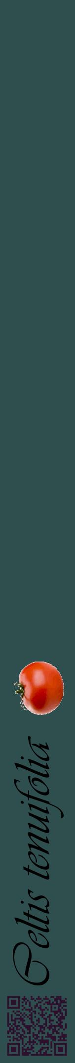 Étiquette de : Celtis tenuifolia - format a - style noire58viv avec qrcode et comestibilité simplifiée