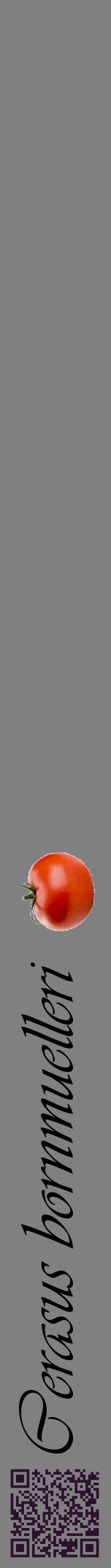 Étiquette de : Cerasus bornmuelleri - format a - style noire57viv avec qrcode et comestibilité simplifiée