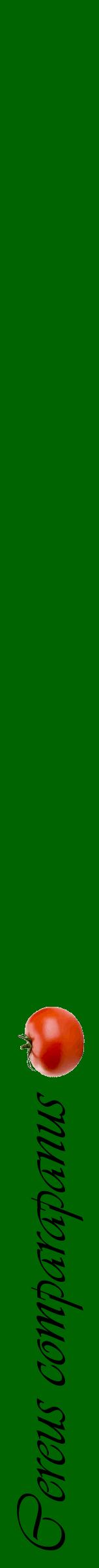 Étiquette de : Cereus comparapanus - format a - style noire8simpleviv avec comestibilité simplifiée - position verticale