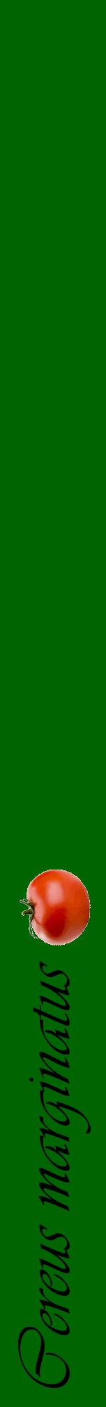 Étiquette de : Cereus marginatus - format a - style noire8viv avec comestibilité simplifiée
