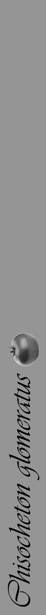 Étiquette de : Chisocheton glomeratus - format a - style noire16viv avec comestibilité simplifiée - position verticale