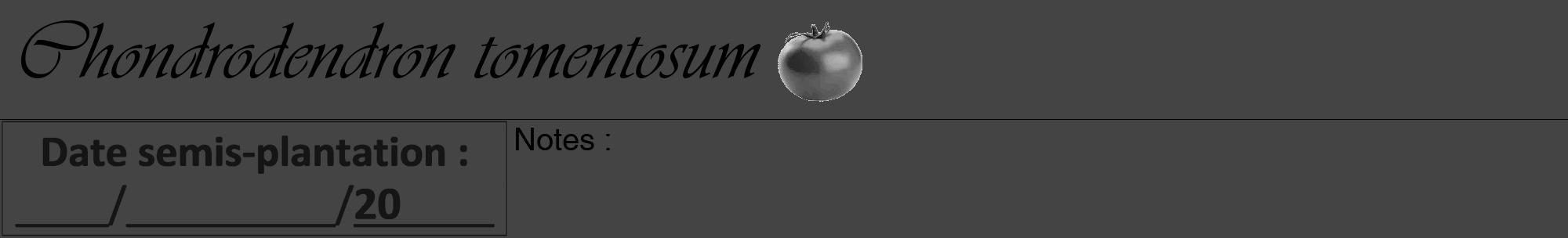 Étiquette de : Chondrodendron tomentosum - format a - style noire48viv avec comestibilité simplifiée
