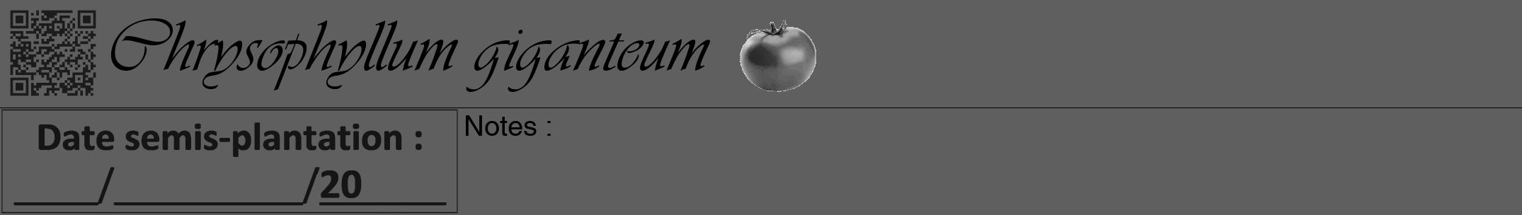 Étiquette de : Chrysophyllum giganteum - format a - style noire10viv avec qrcode et comestibilité simplifiée