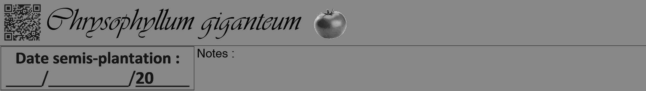 Étiquette de : Chrysophyllum giganteum - format a - style noire12viv avec qrcode et comestibilité simplifiée