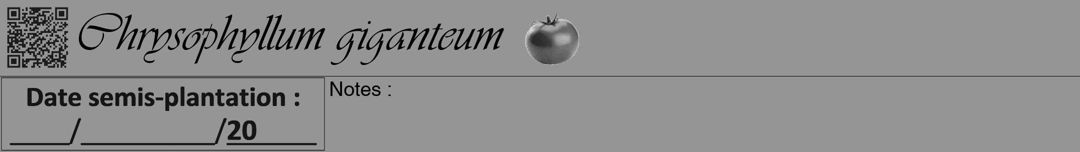 Étiquette de : Chrysophyllum giganteum - format a - style noire16viv avec qrcode et comestibilité simplifiée