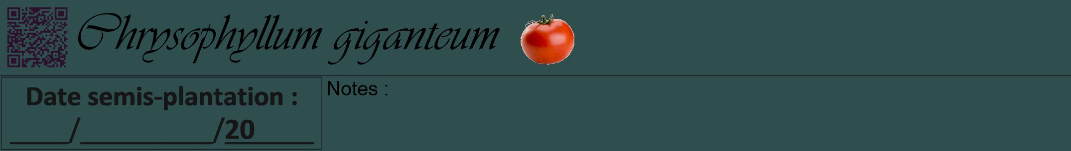 Étiquette de : Chrysophyllum giganteum - format a - style noire58viv avec qrcode et comestibilité simplifiée