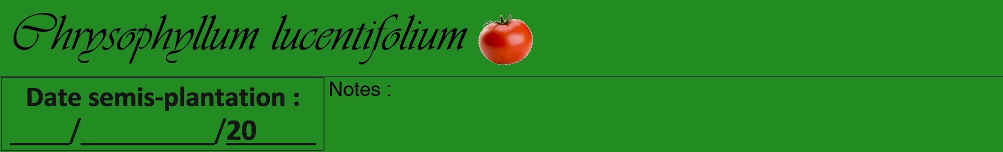 Étiquette de : Chrysophyllum lucentifolium - format a - style noire10viv avec comestibilité simplifiée