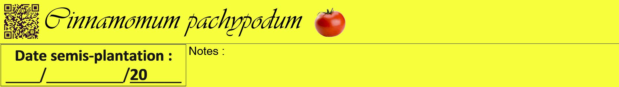 Étiquette de : Cinnamomum pachypodum - format a - style noire18viv avec qrcode et comestibilité simplifiée