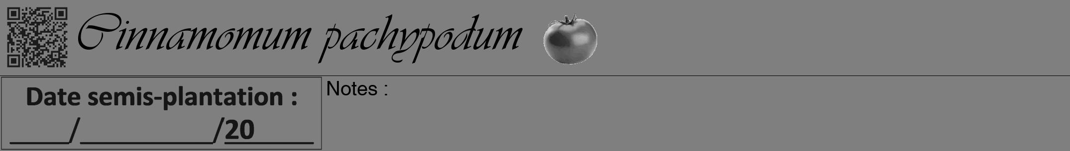 Étiquette de : Cinnamomum pachypodum - format a - style noire57simpleviv avec qrcode et comestibilité simplifiée