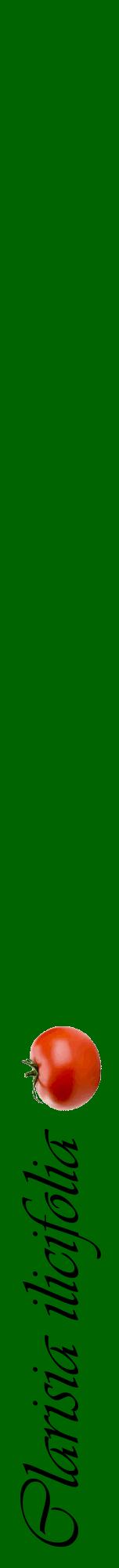 Étiquette de : Clarisia ilicifolia - format a - style noire8viv avec comestibilité simplifiée