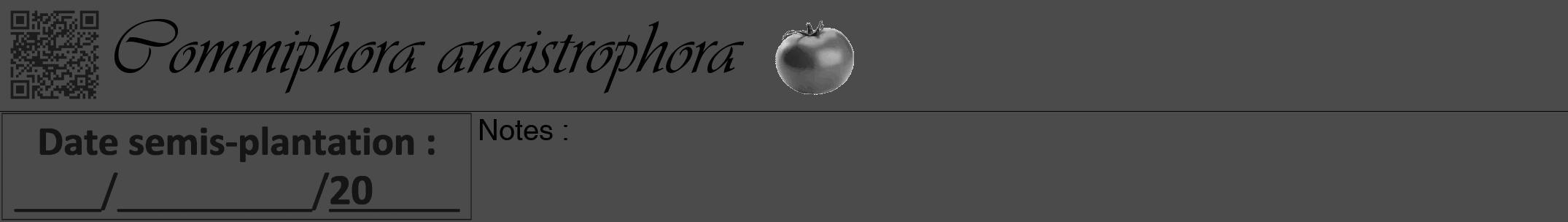 Étiquette de : Commiphora ancistrophora - format a - style noire9viv avec qrcode et comestibilité simplifiée