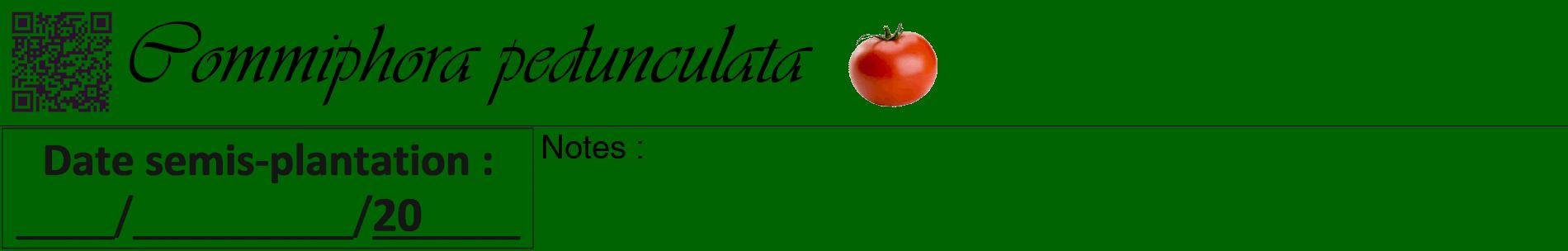 Étiquette de : Commiphora pedunculata - format a - style noire8basiqueviv avec qrcode et comestibilité simplifiée