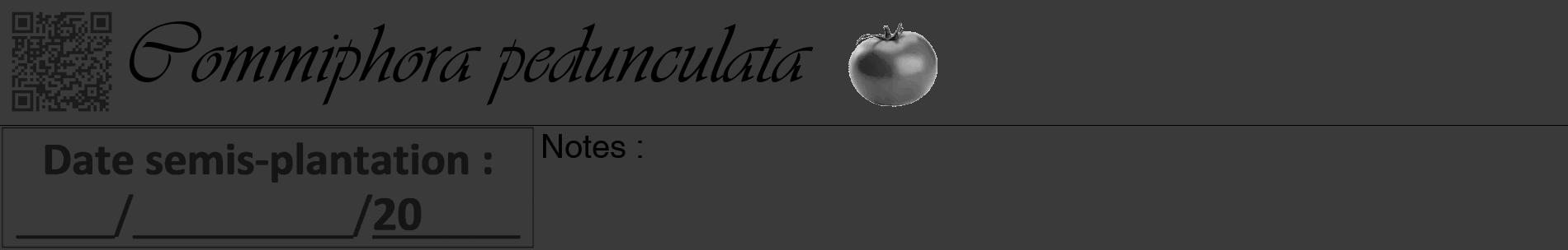 Étiquette de : Commiphora pedunculata - format a - style noire8basiqueviv avec qrcode et comestibilité simplifiée