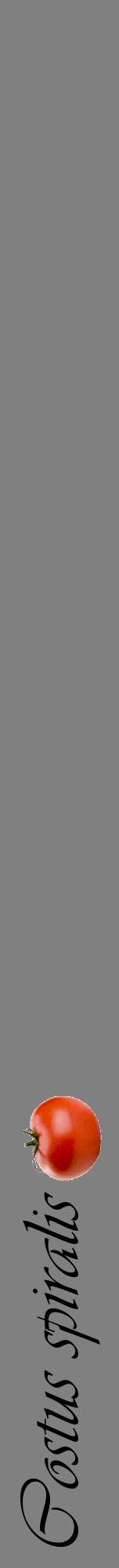 Étiquette de : Costus spiralis - format a - style noire57viv avec comestibilité simplifiée