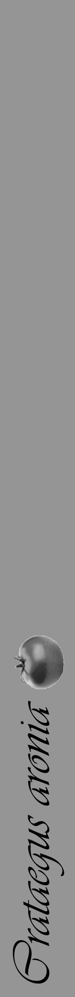 Étiquette de : Crataegus aronia - format a - style noire16viv avec comestibilité simplifiée - position verticale