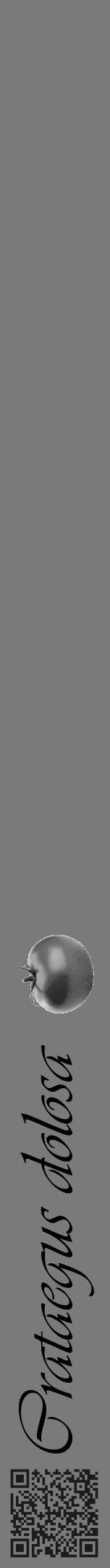 Étiquette de : Crataegus dolosa - format a - style noire3viv avec qrcode et comestibilité simplifiée - position verticale