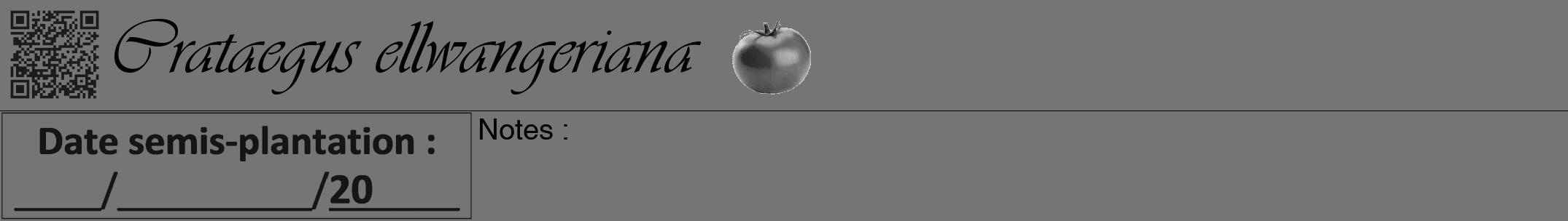 Étiquette de : Crataegus ellwangeriana - format a - style noire5viv avec qrcode et comestibilité simplifiée