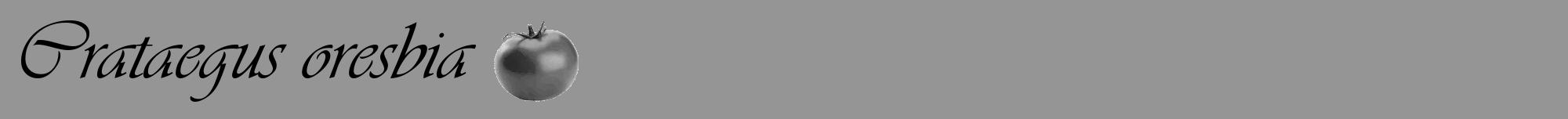 Étiquette de : Crataegus oresbia - format a - style noire16viv avec comestibilité simplifiée