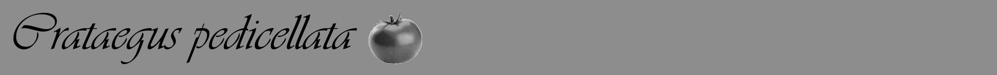 Étiquette de : Crataegus pedicellata - format a - style noire2viv avec comestibilité simplifiée