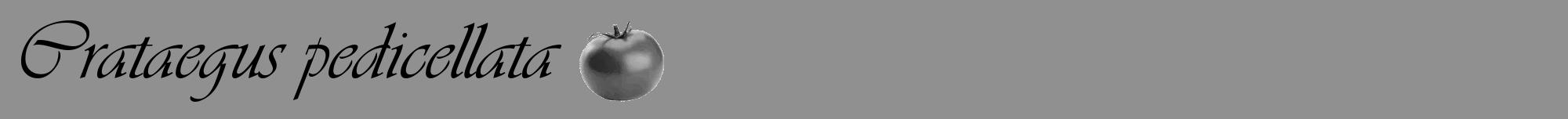 Étiquette de : Crataegus pedicellata - format a - style noire4viv avec comestibilité simplifiée
