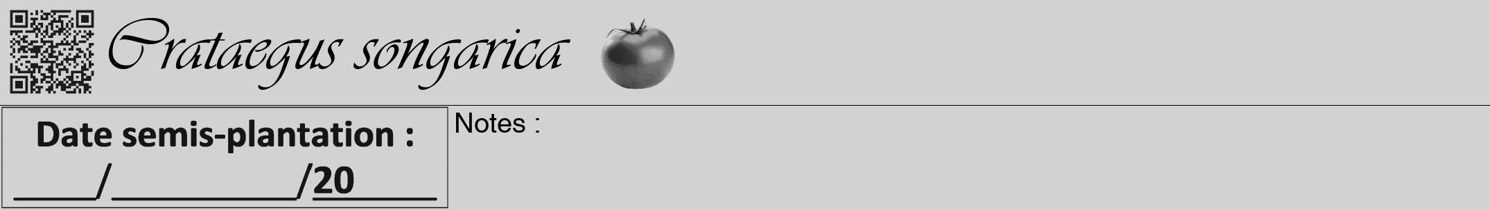 Étiquette de : Crataegus songarica - format a - style noire14viv avec qrcode et comestibilité simplifiée
