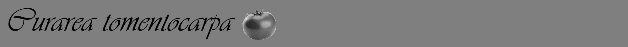 Étiquette de : Curarea tomentocarpa - format a - style noire57viv avec comestibilité simplifiée