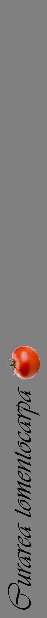 Étiquette de : Curarea tomentocarpa - format a - style noire57viv avec comestibilité simplifiée