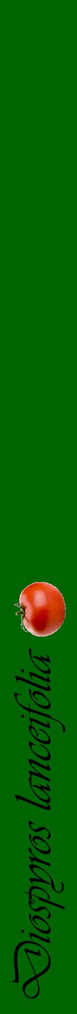 Étiquette de : Diospyros lanceifolia - format a - style noire8viv avec comestibilité simplifiée