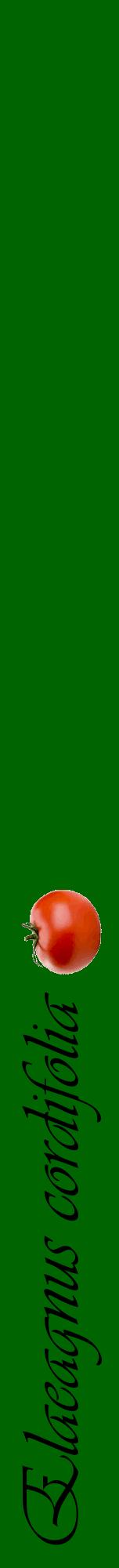 Étiquette de : Elaeagnus cordifolia - format a - style noire8viv avec comestibilité simplifiée