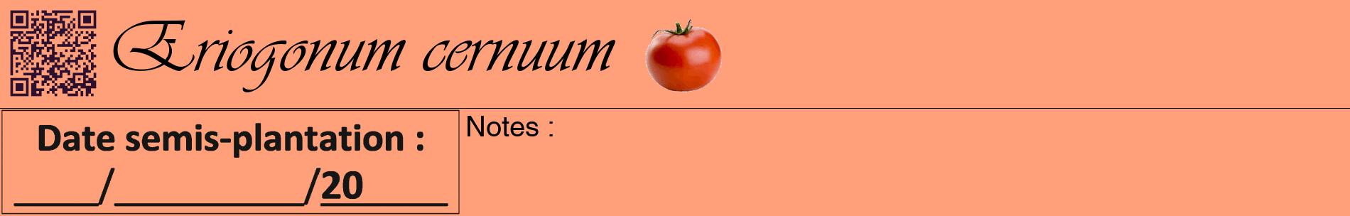 Étiquette de : Eriogonum cernuum - format a - style noire39basiqueviv avec qrcode et comestibilité simplifiée
