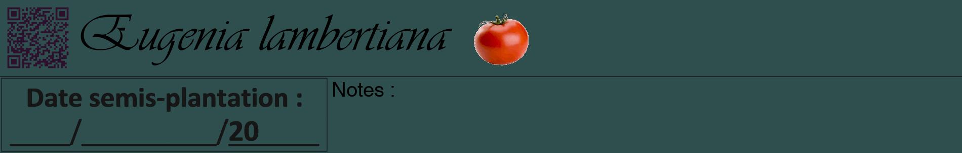 Étiquette de : Eugenia lambertiana - format a - style noire58basiqueviv avec qrcode et comestibilité simplifiée