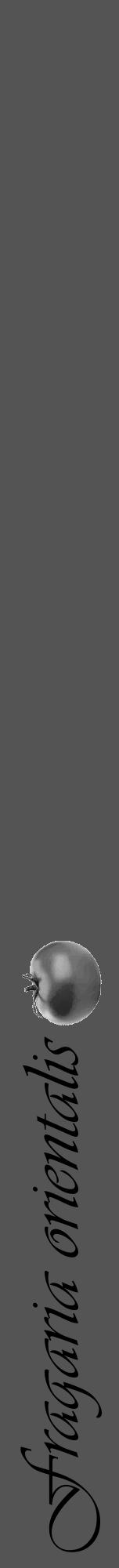 Étiquette de : Fragaria orientalis - format a - style noire36viv avec comestibilité simplifiée - position verticale