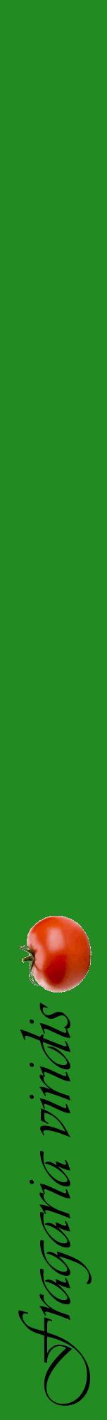 Étiquette de : Fragaria viridis - format a - style noire10viv avec comestibilité simplifiée