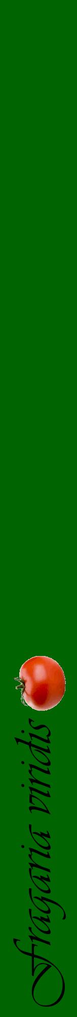 Étiquette de : Fragaria viridis - format a - style noire8viv avec comestibilité simplifiée