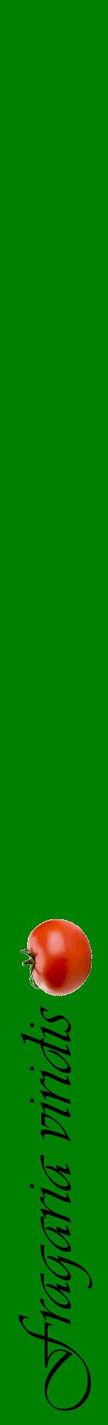 Étiquette de : Fragaria viridis - format a - style noire9viv avec comestibilité simplifiée