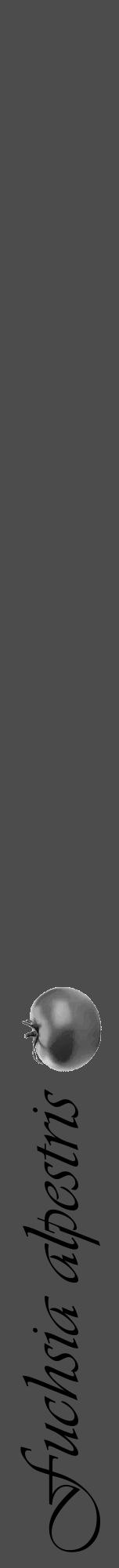 Étiquette de : Fuchsia alpestris - format a - style noire27viv avec comestibilité simplifiée - position verticale