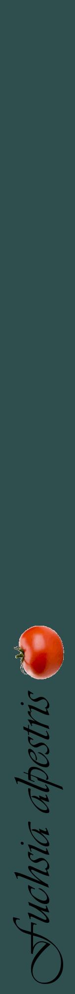 Étiquette de : Fuchsia alpestris - format a - style noire58viv avec comestibilité simplifiée