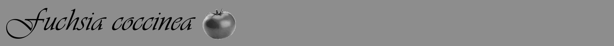 Étiquette de : Fuchsia coccinea - format a - style noire2viv avec comestibilité simplifiée