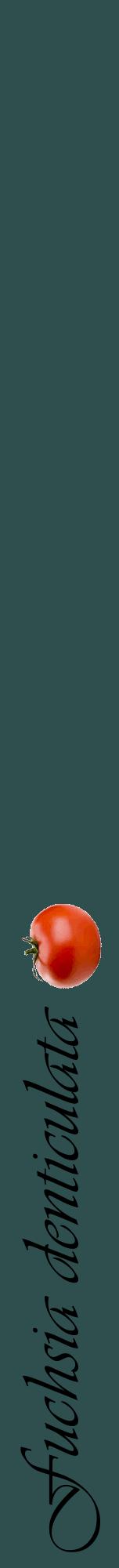 Étiquette de : Fuchsia denticulata - format a - style noire58viv avec comestibilité simplifiée