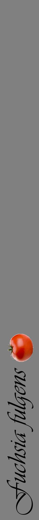 Étiquette de : Fuchsia fulgens - format a - style noire57viv avec comestibilité simplifiée