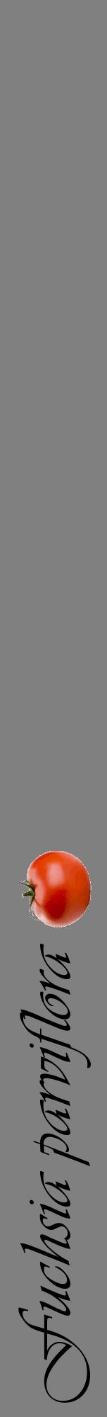 Étiquette de : Fuchsia parviflora - format a - style noire57viv avec comestibilité simplifiée