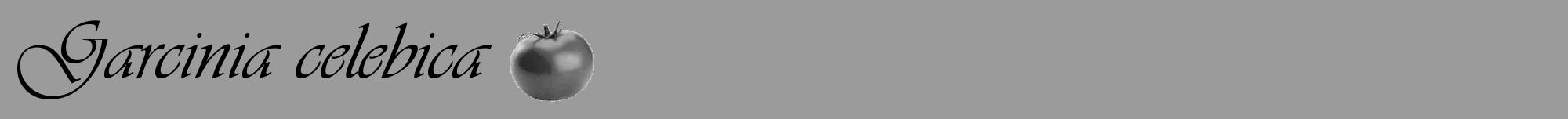 Étiquette de : Garcinia celebica - format a - style noire52viv avec comestibilité simplifiée