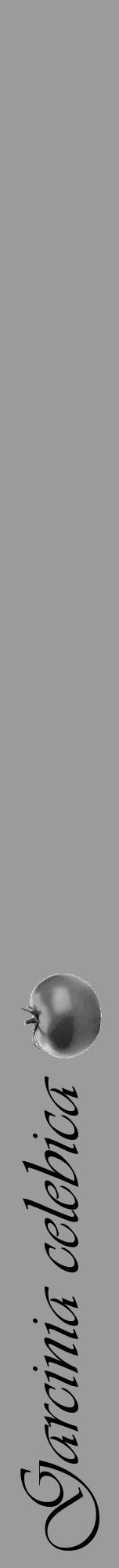 Étiquette de : Garcinia celebica - format a - style noire52viv avec comestibilité simplifiée - position verticale