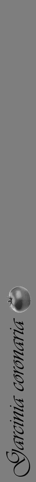 Étiquette de : Garcinia coronaria - format a - style noire57viv avec comestibilité simplifiée - position verticale