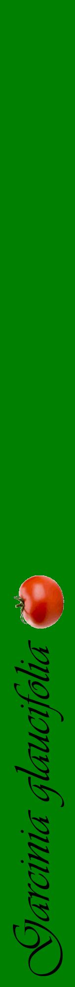 Étiquette de : Garcinia glaucifolia - format a - style noire9viv avec comestibilité simplifiée